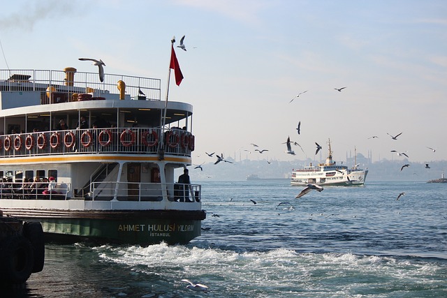 28. İstanbul’un En Yoğun Saatleri: Trafikten Kaçmak İçin Taktikler 28. İstanbul’un En Yoğun Saatleri: Trafikten Kaçmak İçin Taktikler
